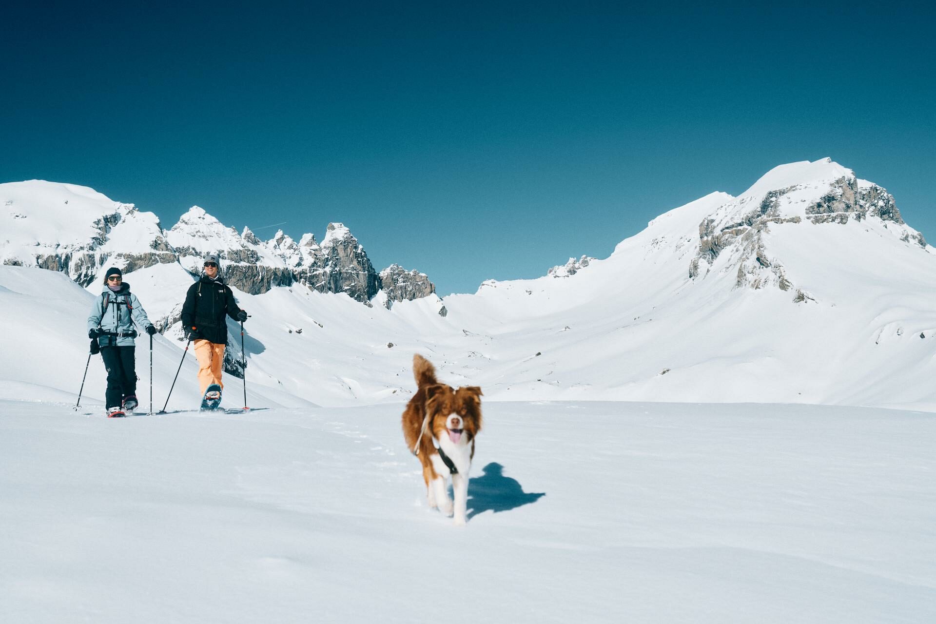 Winter activities such as ski tours & snowshoeing on the Segnesboden.