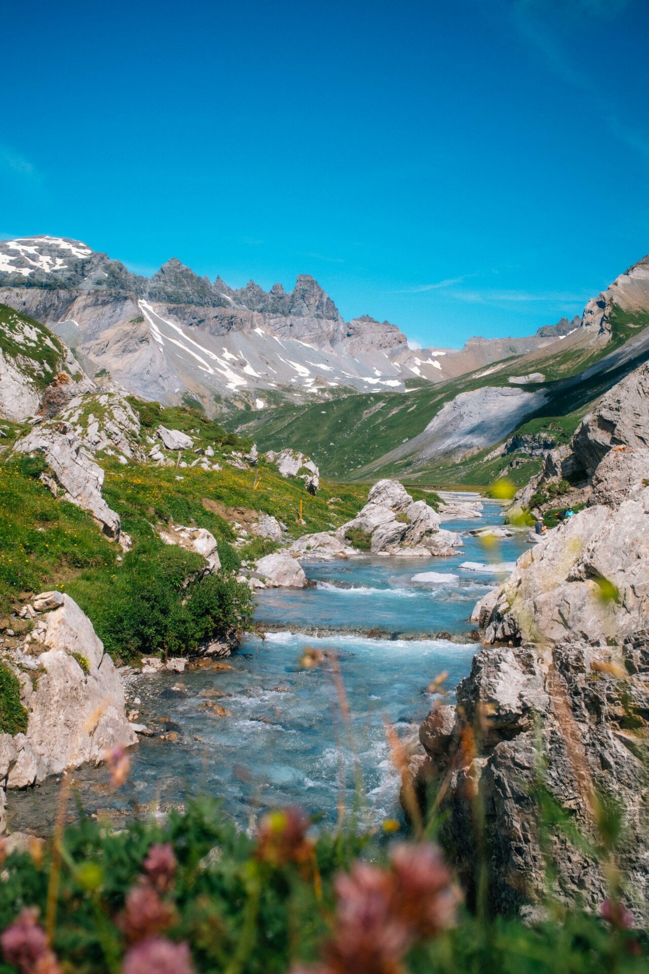 Nature on the Segnesboden.